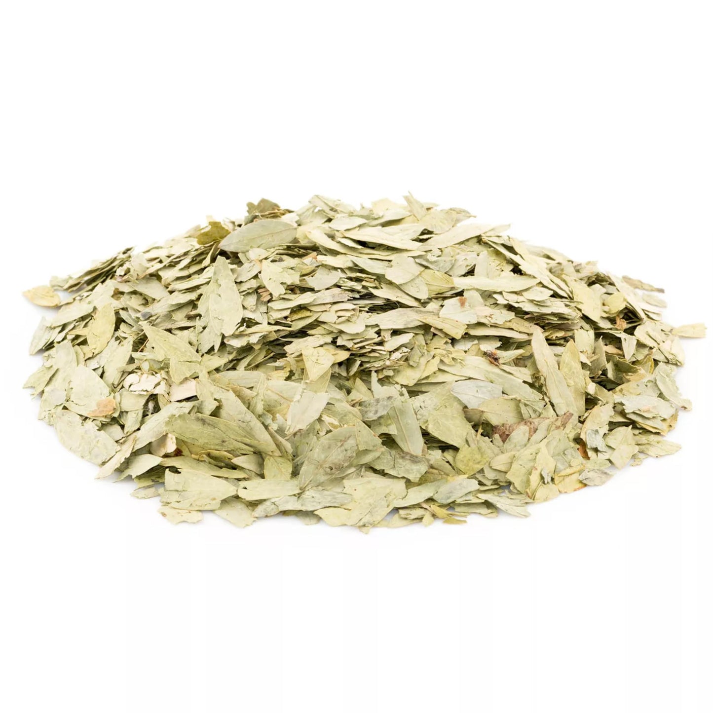 Zokiva Senna Tea - Herbal Laxative and Digestive Support - 100 Premium 2g Tea Bags - Caffeine Free