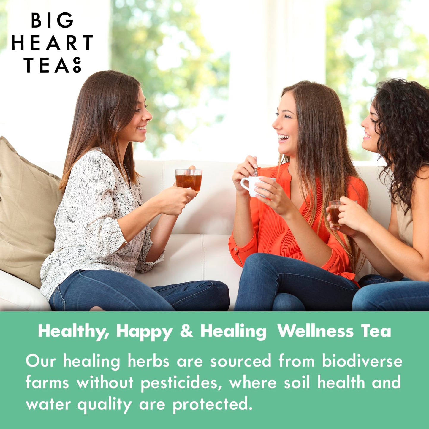 Big Heart Tea Co. Tea Bags - Royal Treatmint Lavender Mint - Organic Herbal Decaf - 10 Zero Plastic Sachets