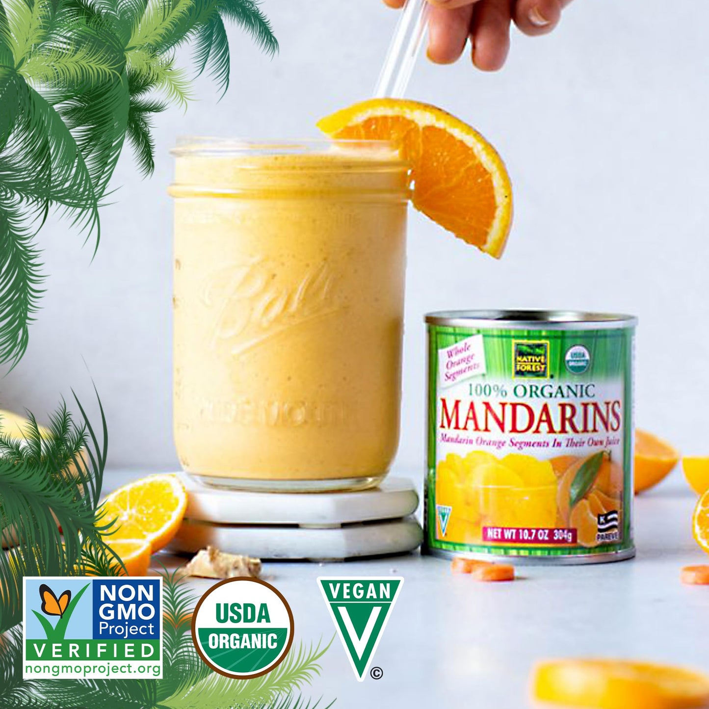 Native Forest Organic Mandarin Oranges - Mandarin Oranges Canned, Organic Mandarins, Organic Oranges, Canned Fruit - 10.7 Ounce