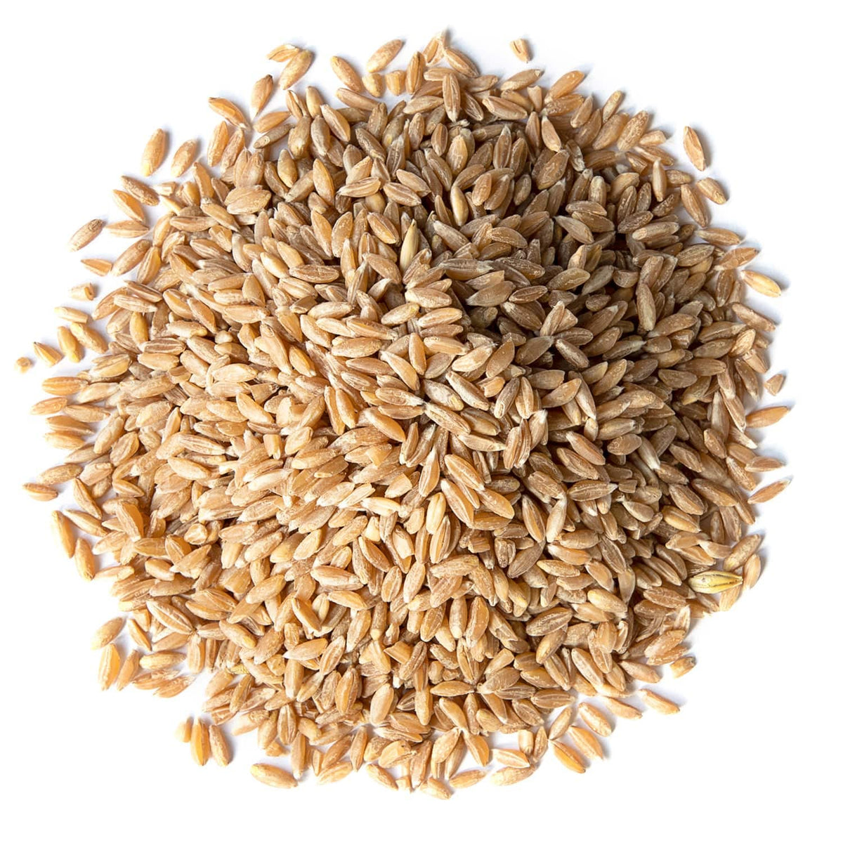 Food To Live Organic Spelt Berries, 5 Pounds - Non-Gmo, Whole Grain, Non-Irradiated, Vegan Superfood, Bulk, Product Of The Usa