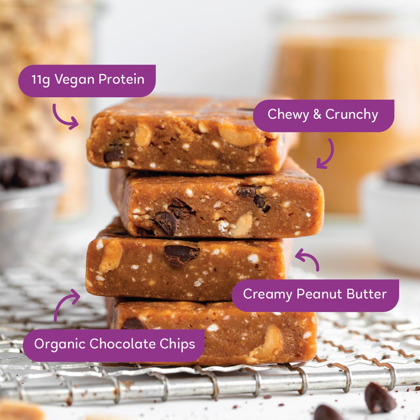 Gomacro Macrobar Organic Vegan Protein Bars - Peanut Butter Chocolate Chip (2.4 Ounce Bars, 12 Count)