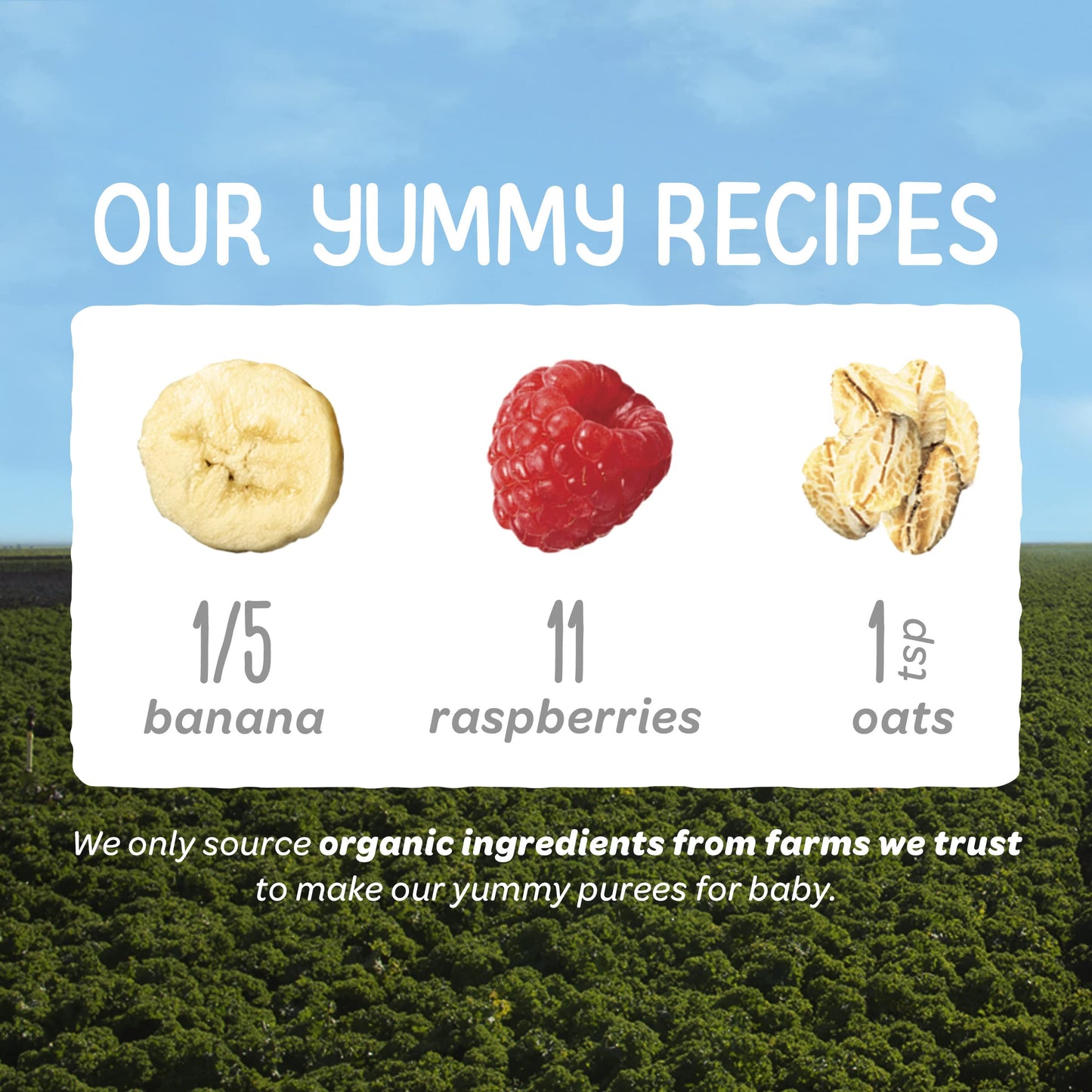Happy Baby Organics Stage 2 Baby Food Pouches, Gluten Free, Vegan & Healthy Snack, Clearly Crafted Fruit & Veggie Puree, Bananas