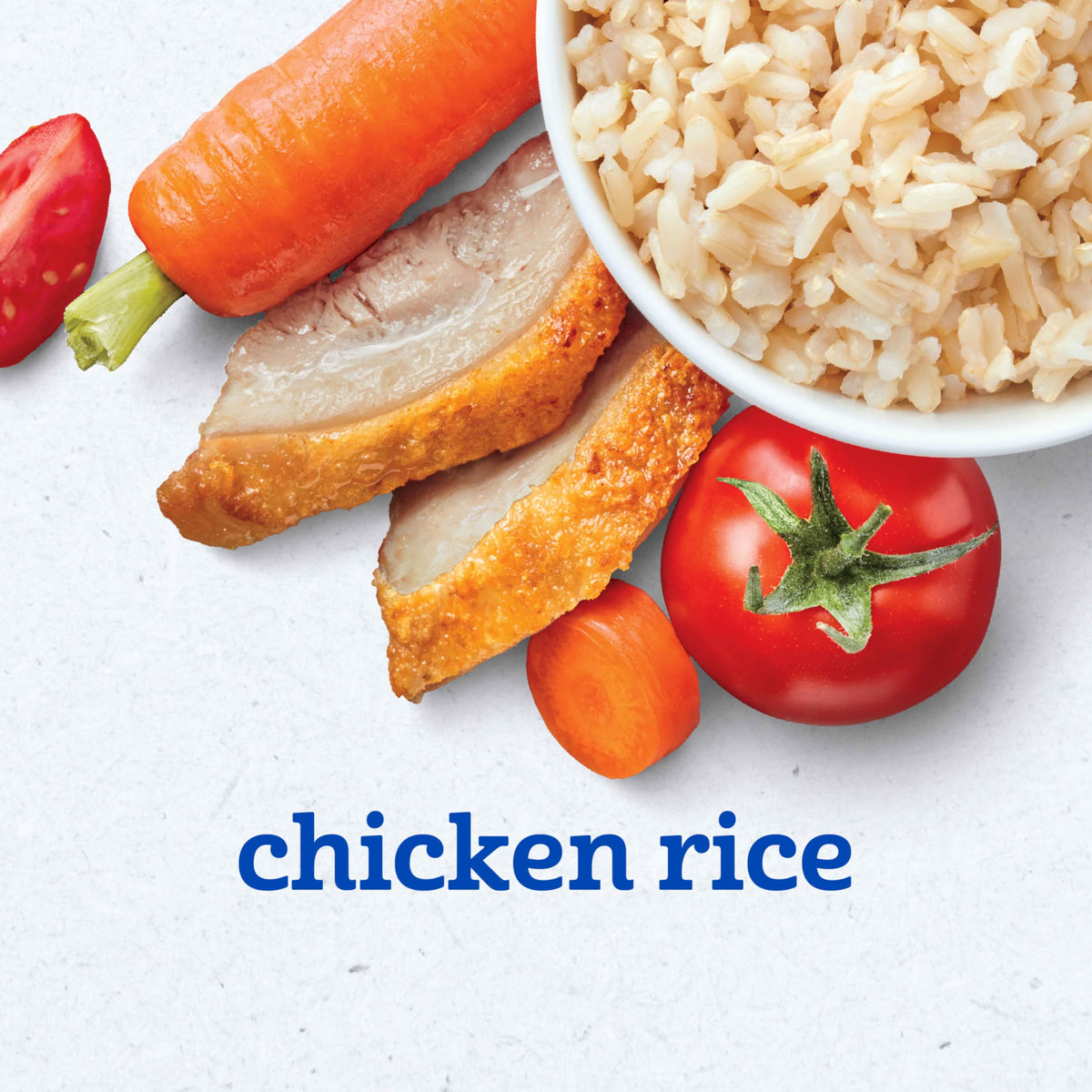 Gerber Baby Food Chicken & Rice, 4 Oz, 2 Ct Tubs