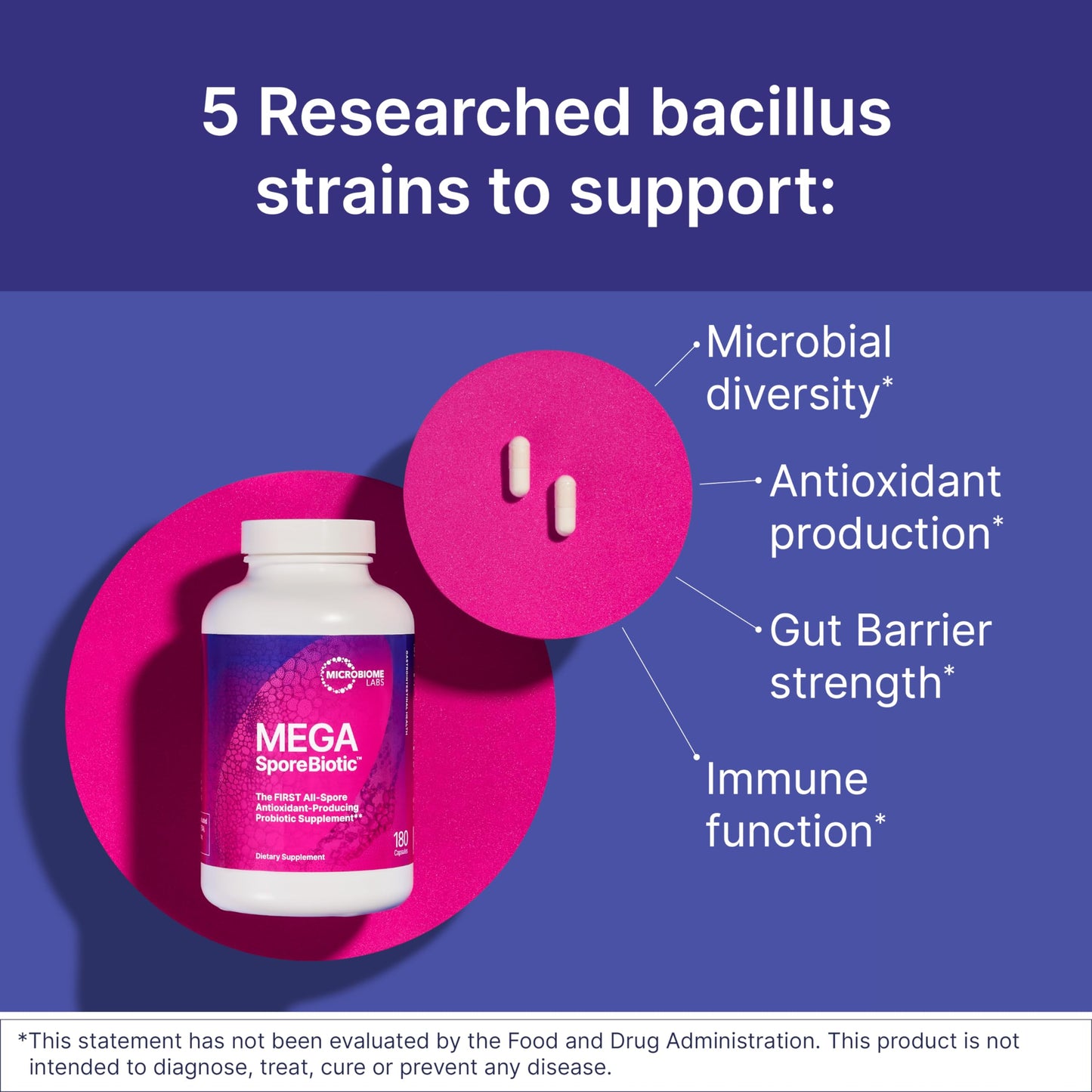 Spore-Based Probiotic for Women & Men — Gut Health & Digestive Support