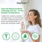 LeafLea Moringa Tea Bags - Premium Herbal Blend, Caffeine-Free, Sugar-Free, Vegan, Non-GMO, 120 Bags (Pack of 3)