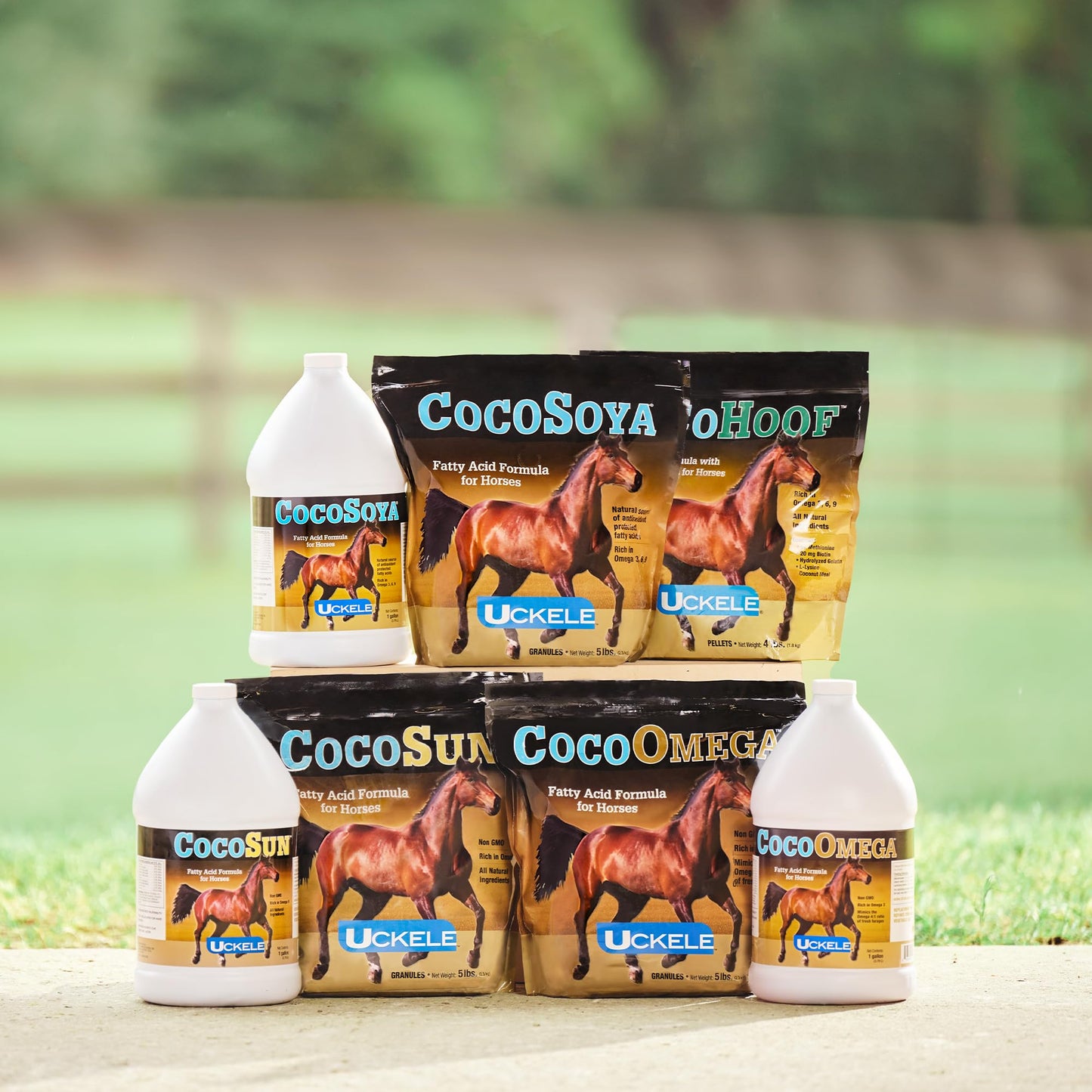 Smartequine Cocosoya Oil | Oil For Skin And Coat | Contains Soybean And Coconut Oil For Overall Coat Shine And Horse Health | Nourishing Fatty Acids For A Lustrous Appearance | 1 Gallon