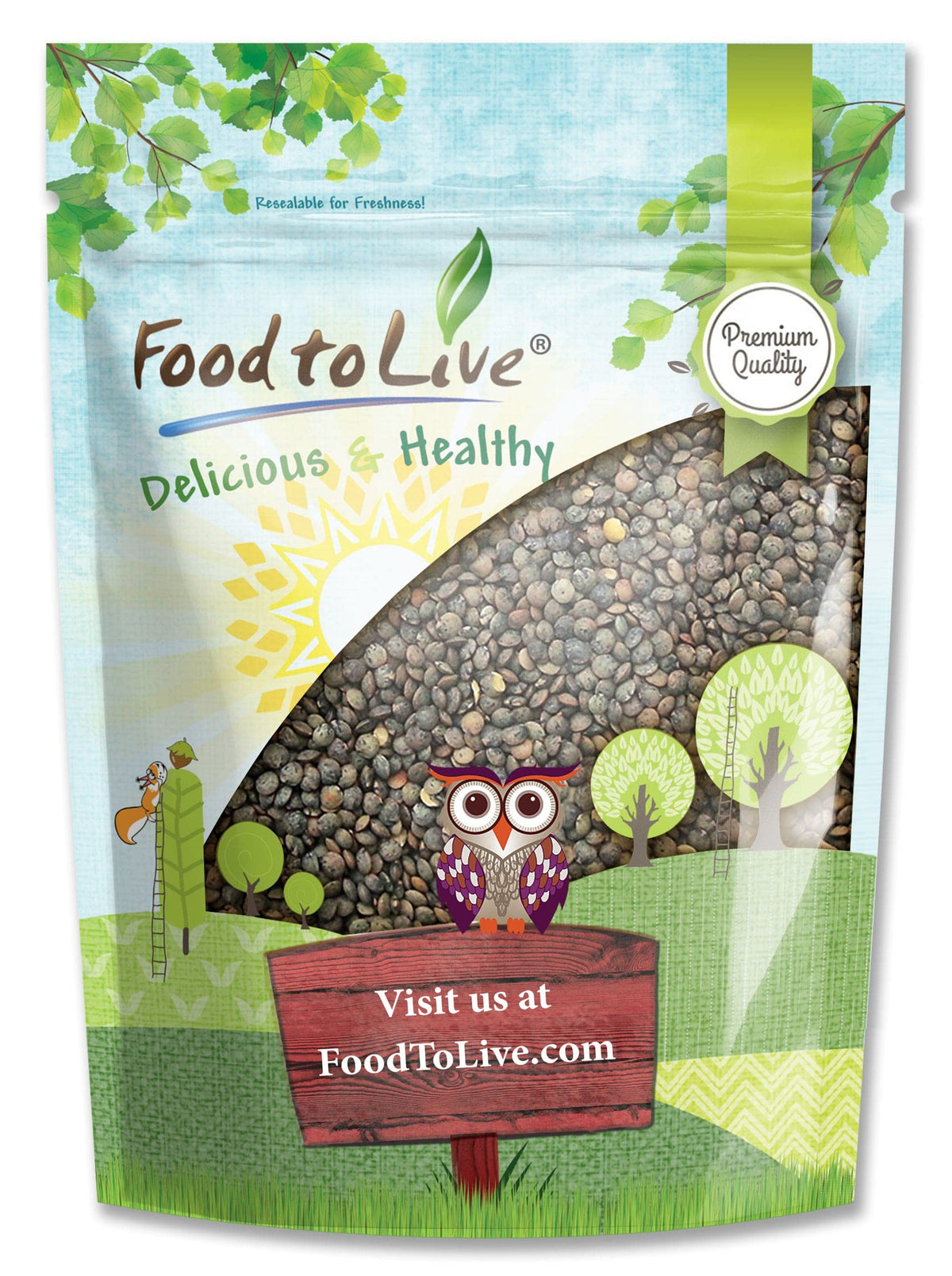 Food to Live French Green Lentils, 3 Pounds, Raw, Vegan, Kosher, Sproutable, Great for Soups and Curries