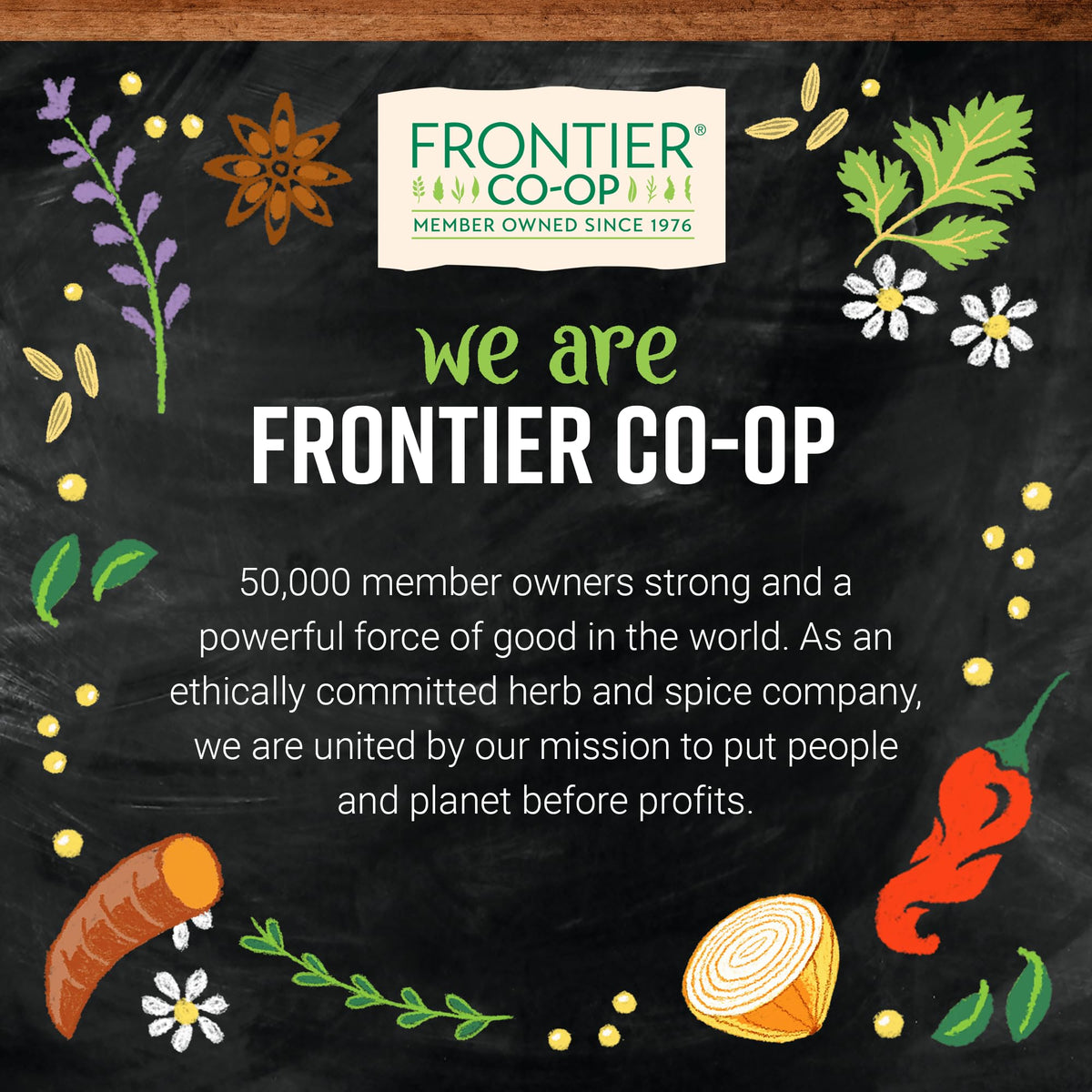 Frontier Co-Op Fiesta Chili Powder, 1.76 Ounce