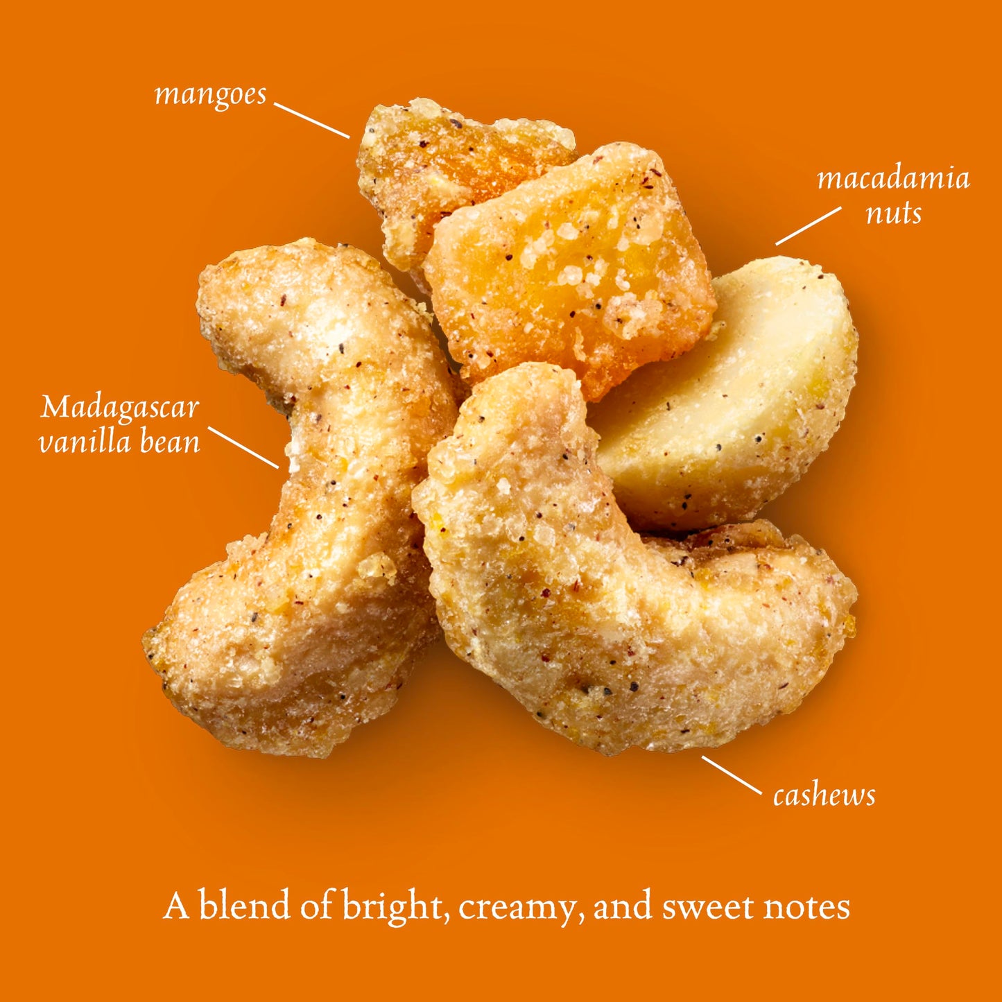 Sahale Snacks Glazed Mix, Tangerine Vanilla Cashew Macadamia, 1.5 Ounces (Pack of 18)