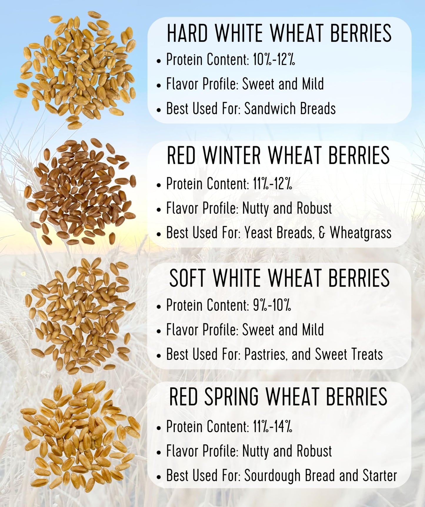 Palouse Brand Certified Glyphosate Residue Free | Hard White Wheat Berries | 15 LBS | Family Farmed in Washington State | Sprout