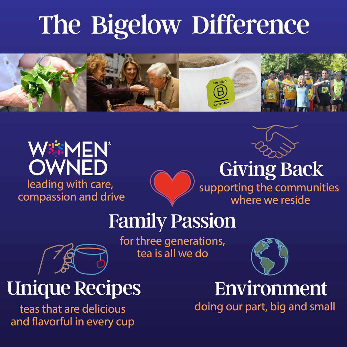 Bigelow Tea Sapphire Bay Butterfly Pea Flower  Blue Tea  Caffeine Free (Pack of 6)  108 Total Tea Bags