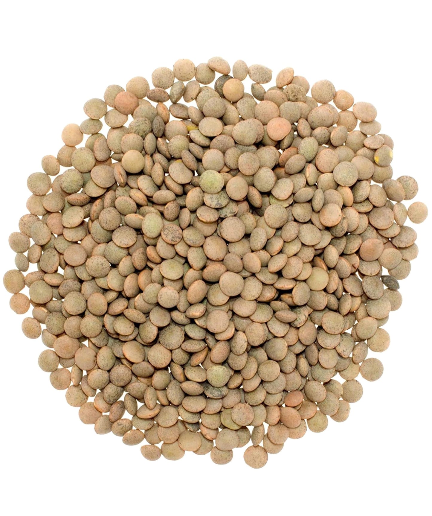 Lentils | Brown | 25 Lbs | Bulk | Desiccant Free | Sproutable | Non-Gmo Project Verified | Kosher