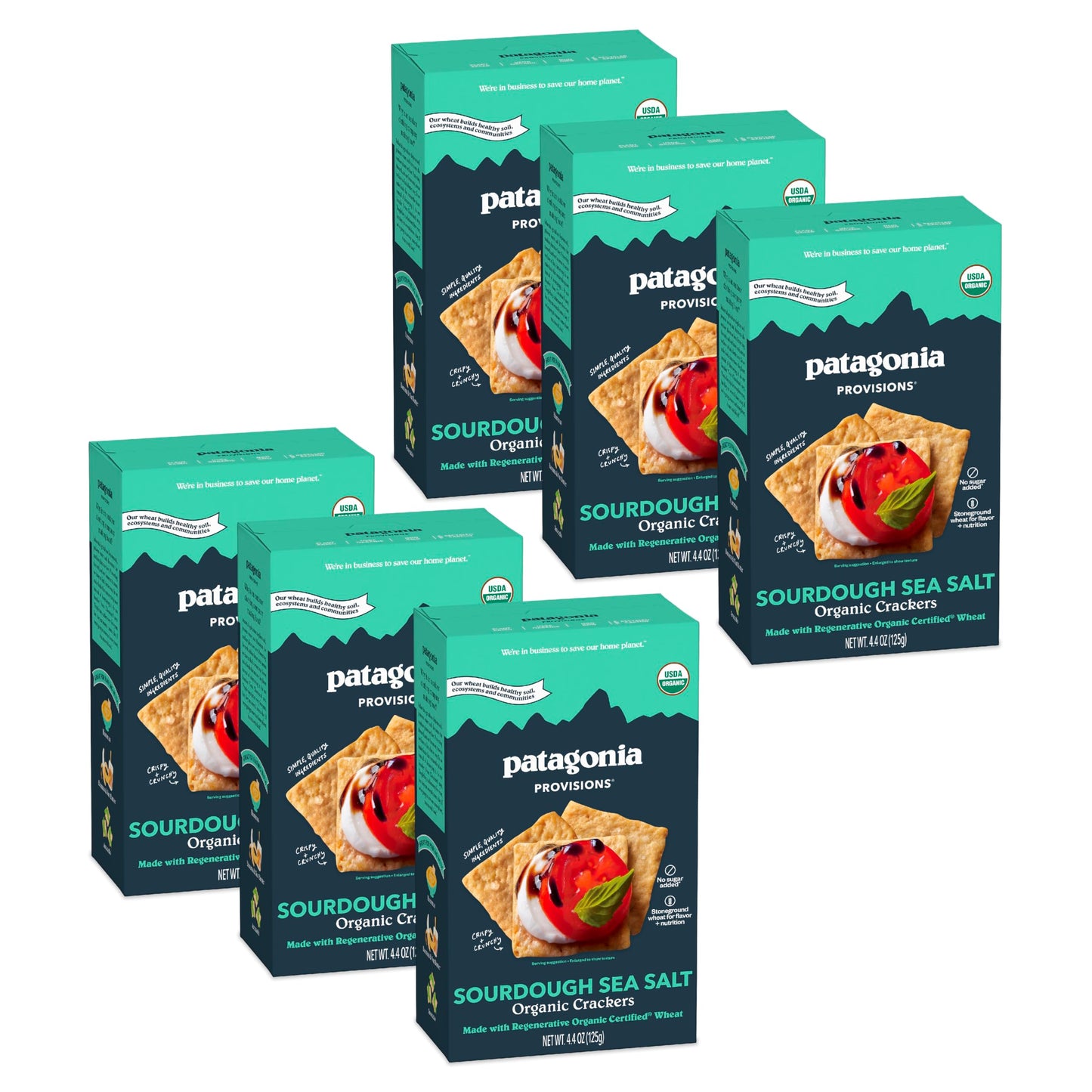 Patagonia Provisions - Sourdough Sea Salt - Certified Organic Crackers - Non-GMO, Plant-Based, No Added Sugar (6 Pack)