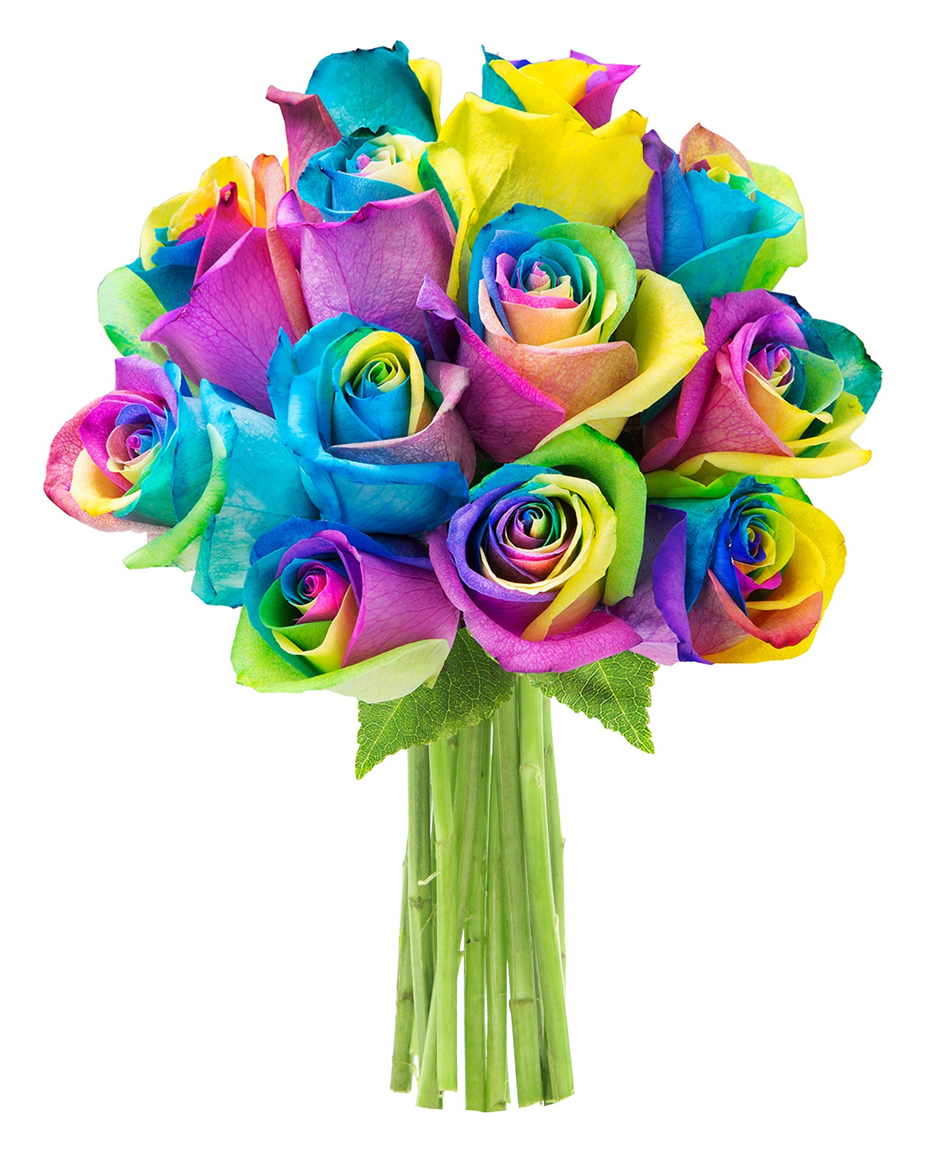 KaBloom Flowers - Bouquet of 12 Fresh Rainbow Roses Without Vase - Gift for Birthday,Anniversary, Get Well, Thank You, Valentine, Mother’s Day Fresh Flowers