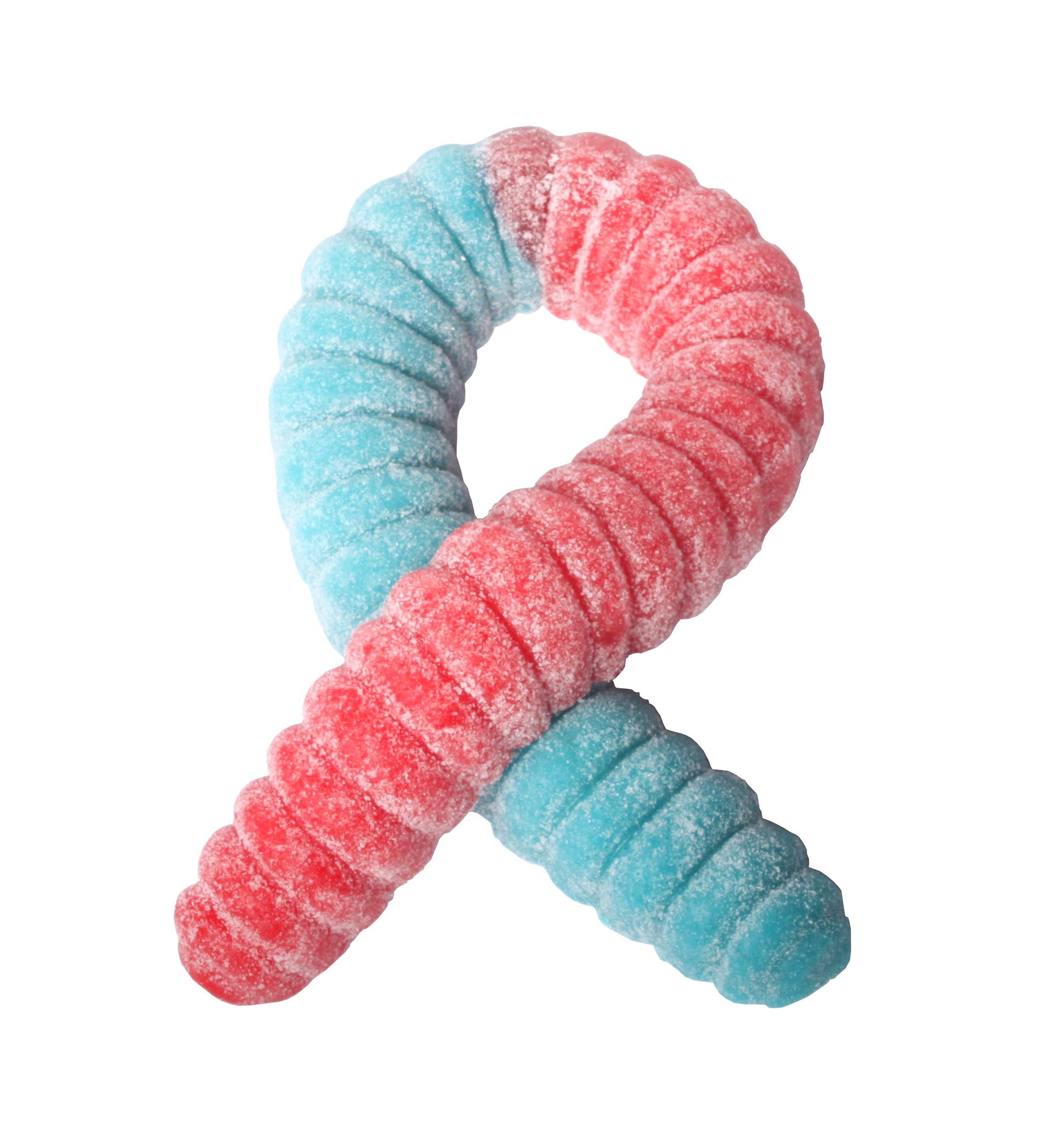 The Gummy Bear Guy SOUR Worlds Largest Gummy Worm, Cherry/Blue Raspberry, 3 Pound, Blue