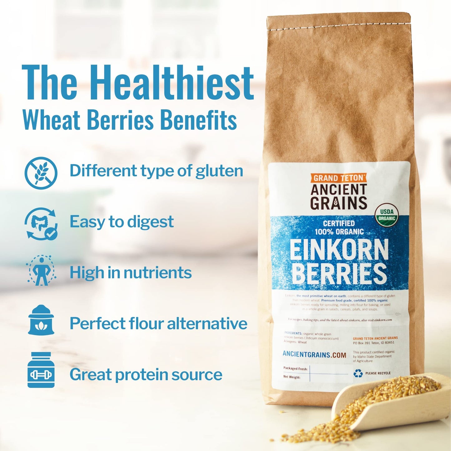 Organic Einkorn Berries (Farro Piccolo) (15 pounds)