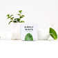 Simply Mints (Peppermint, 30 Count (1 Tin))
