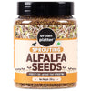 Urban Platter Alfalfa Sprouting Seeds | 250g | Non-GMO, Preservative-Free | Perfect for Salads, Smoothies, and Fresh Sprouts