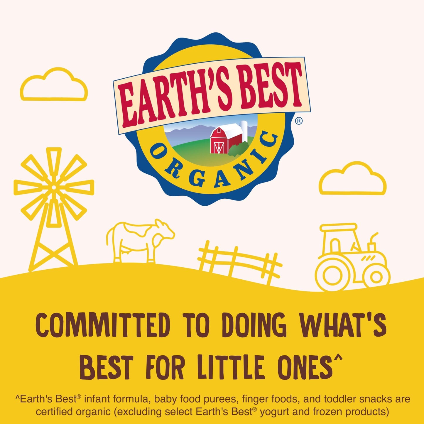 Earths Best, Formula Infant Dha Ara Organic, 23.2 Ounce