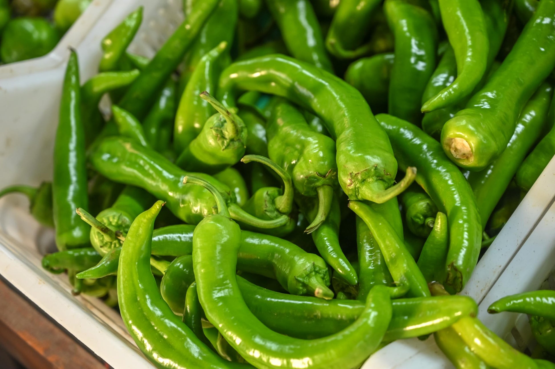 Fresh Bright Green Shishito Peppers by RawJoy Farms