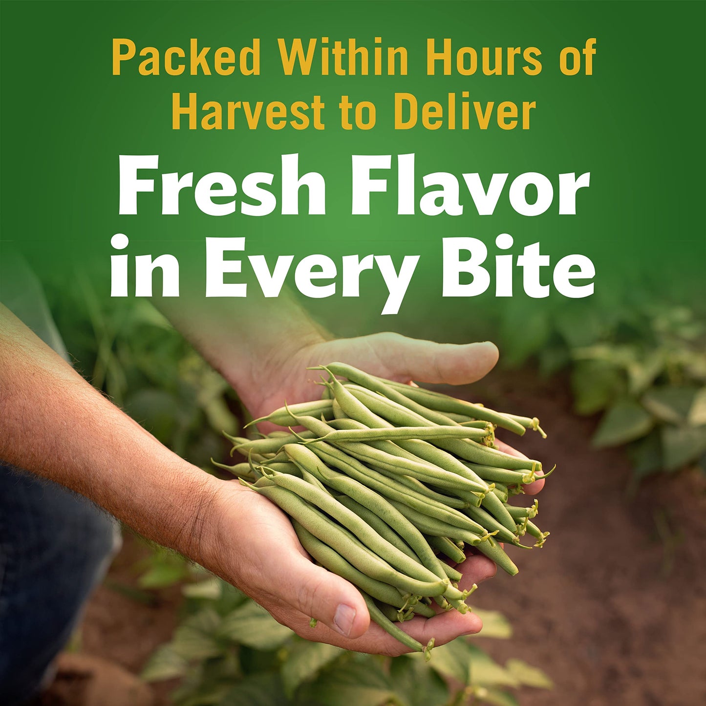 Del Monte Blue Lake French Style Green Beans, Canned Vegetables, 12 Pack, 14.5 Oz Can
