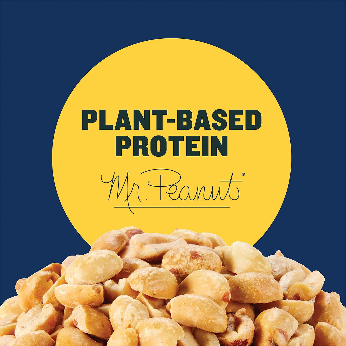 Planters Salted Peanuts Single Serve (2Oz Bags, Pack Of 144)