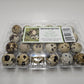 Silverbrook Eggs Farm Farm Fresh Quail Eggs - 1 Dozen (12 Eggs) - Multicolor