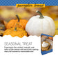 Southern Living Pumpkin Bread Mix, Easy-to-Bake, 15.61 Ounce Pack, Perfect for Fall Desserts and Potlucks