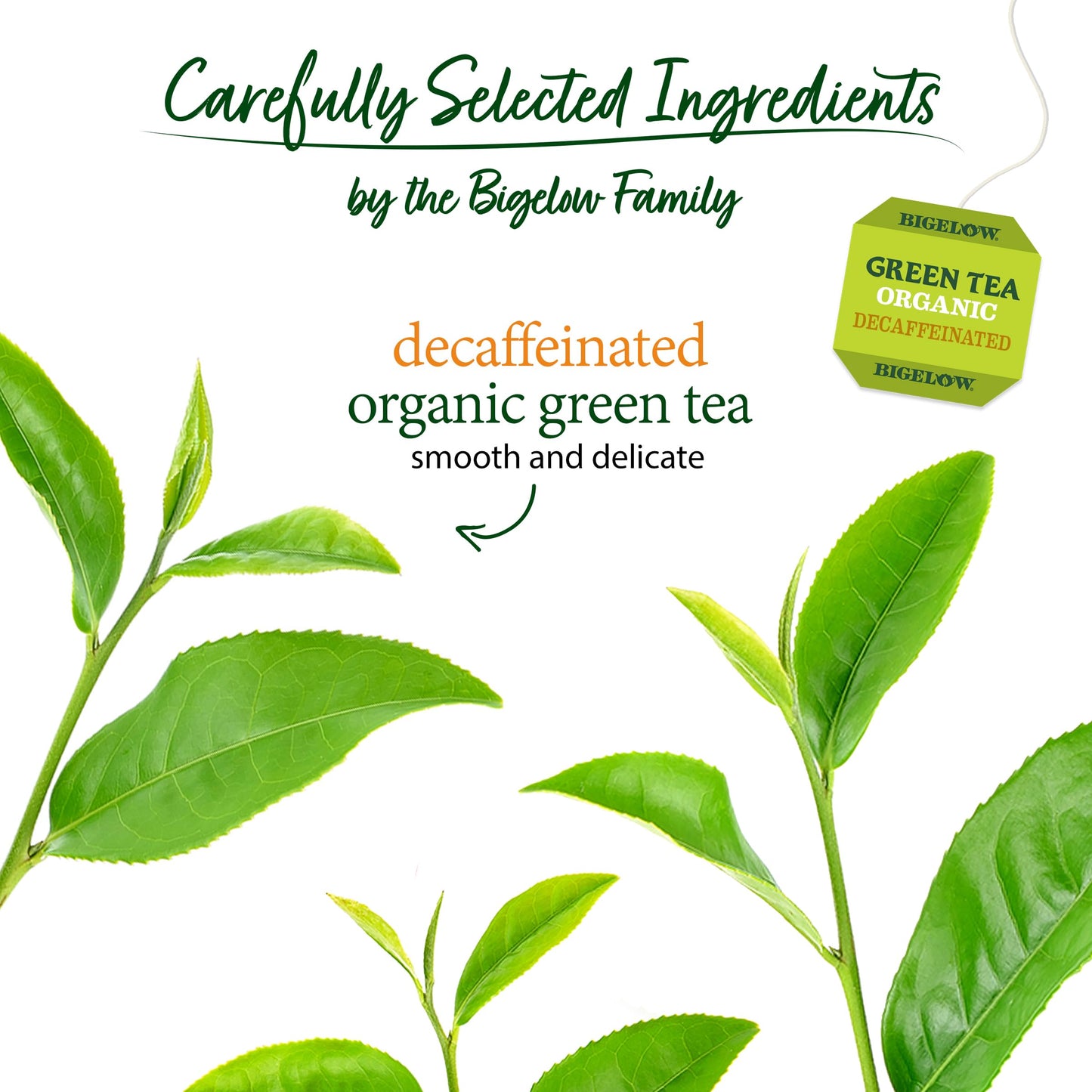 Bigelow Tea Decaffeinated Organic Green Tea Bags, 40 ct