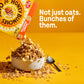 Honey Bunches Of Oats Honey Roasted, Heart Healthy, Low Fat, Made With Whole Grain Cereal, 12 Ounce