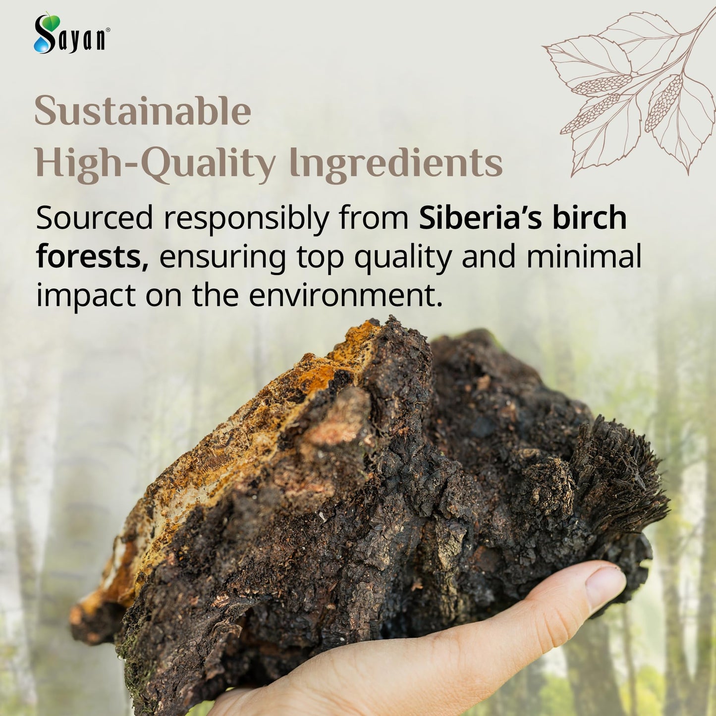 Sayan Chaga Mushroom Tea – 20 Unbleached Bags, Organic, Caffeine-Free, 1.05 Oz (30g), Immune & Digestion Support