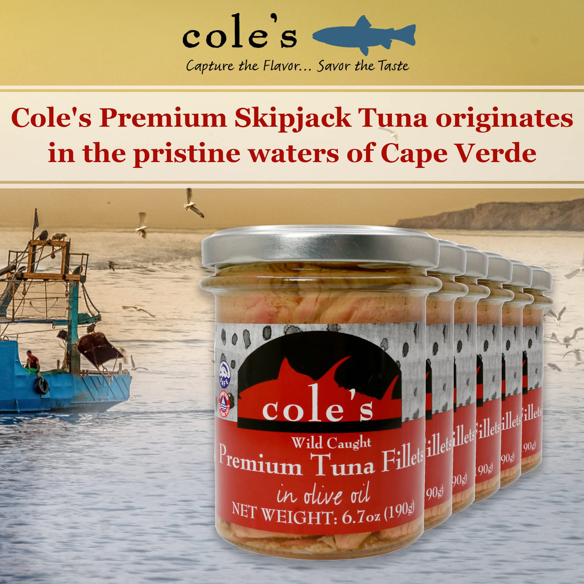 Coles Fresh Canned Tuna Fillets In Olive Oil 6 Pack - Gluten Free Fresh Fish, Wild Caught Tuna Fish, Healthy Snacks, And High Pr