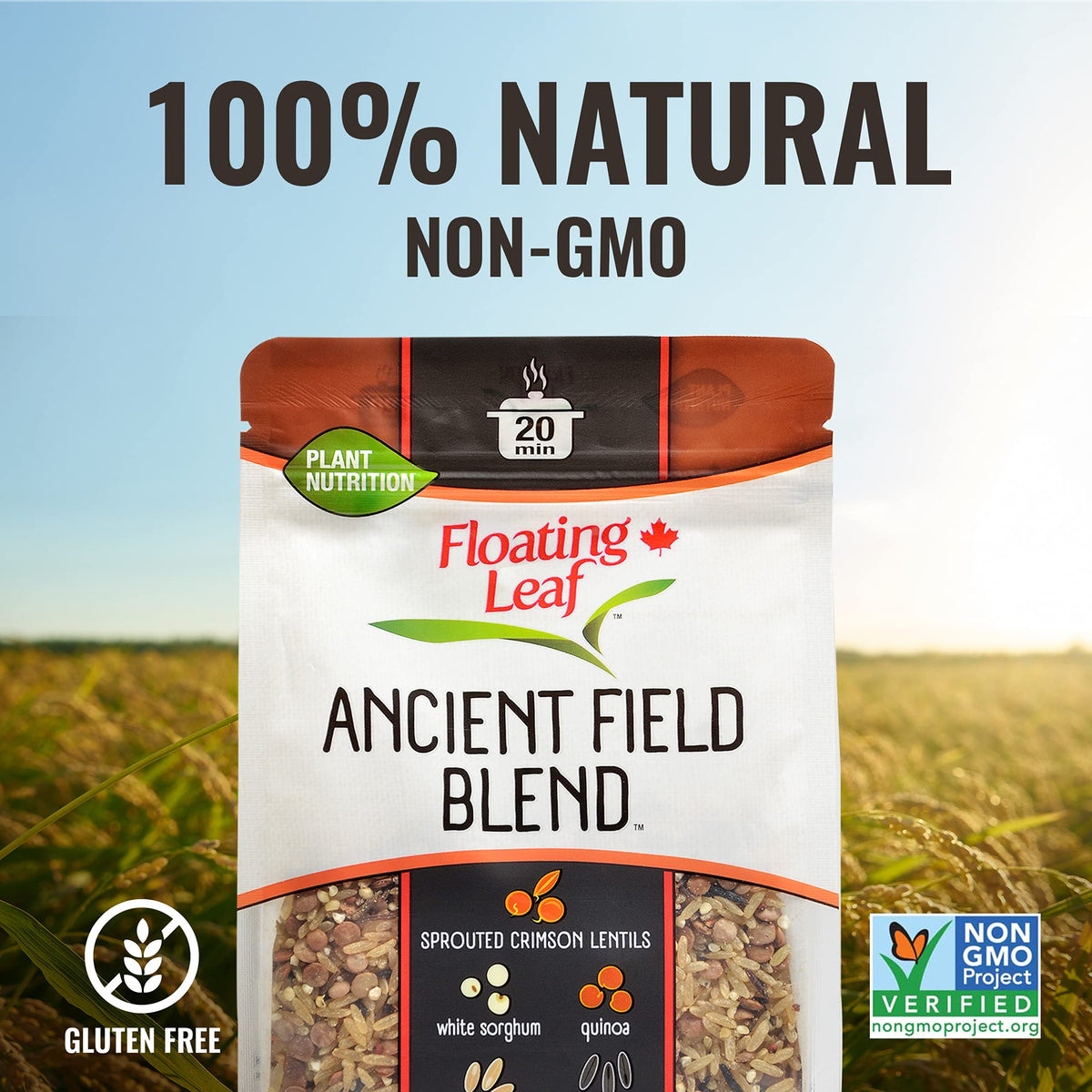 Floating Leaf Ancient Field Blend, Non GMO, Gluten Free, 14 Ounces (Pack Of 6)