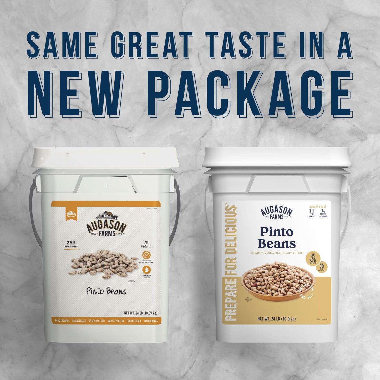 Augason Farms Pinto Beans Emergency Bulk Food Storage 4 Gallon Pail 253 Servings