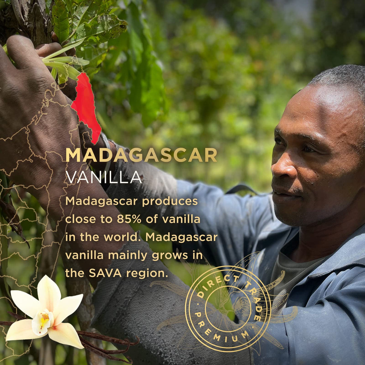 SAVA Madagascar Vanilla Extract - 100% Pure Vanilla - No Sugar Added - 2 oz