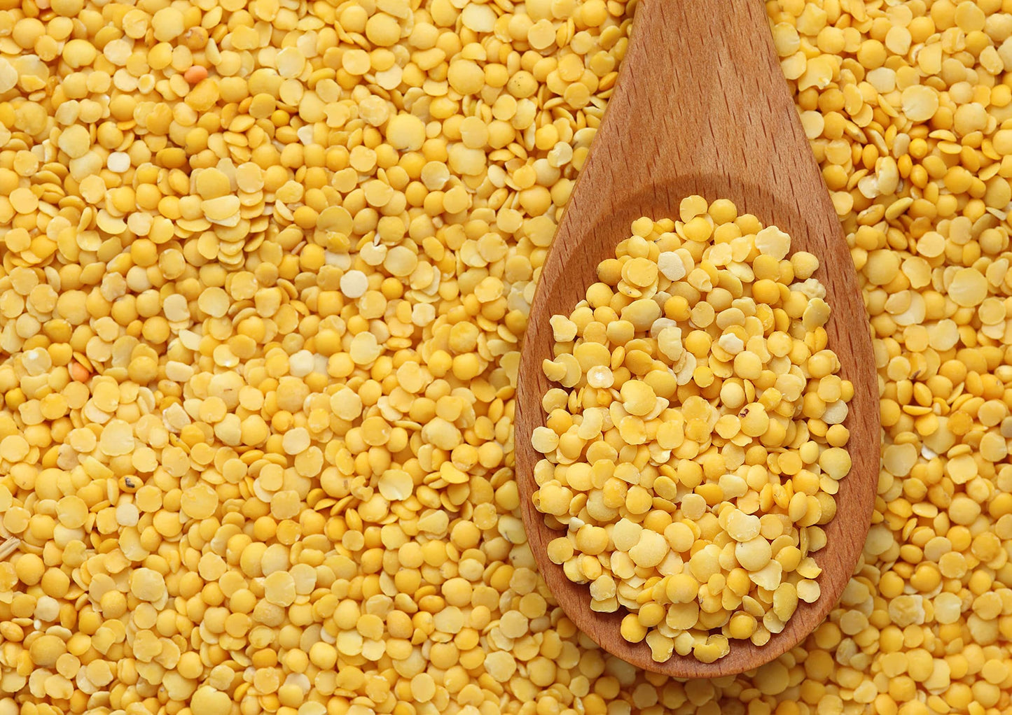 Food To Live Organic Yellow Split Lentils, 1 Pound - Non-Gmo Golden Lentils, Raw, Dried, Vegan, Kosher, Bulk, Good Source Of Protein, Fiber, And Iron. Low Sodium, Low Fat, For Cooking, Soups, Chili.