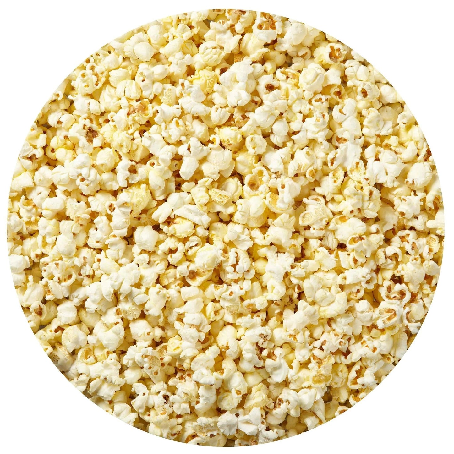Butter Popcorn Tin, 5.5 Ounce (1 Gallon Tin), Birthday Gifts, The Hampton Popcorn & Candy Company
