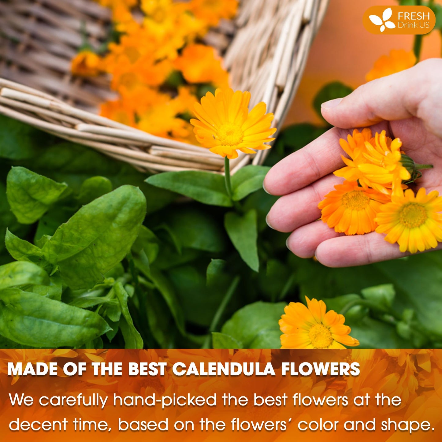 FRESHDRINKUS Premium Calendula Tea Bags - 100% Natural Herbal Tea, 135 Bags, Eco-conscious, Vegan, No Sugar, No Caffeine, No Gluten