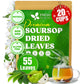 Premium Soursop Leaves Tea bags, Dried Soursop Leaves, Soursop Leaf Powder, Guanabana Leaves Tea, Hoja Guanabana Tea