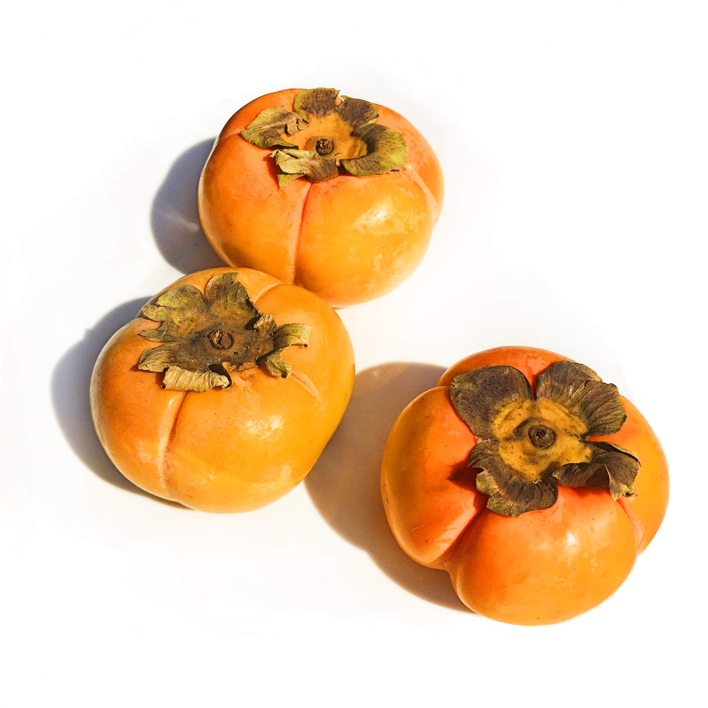 KEJORA Fresh Fuyu Persimmons (10 LB)