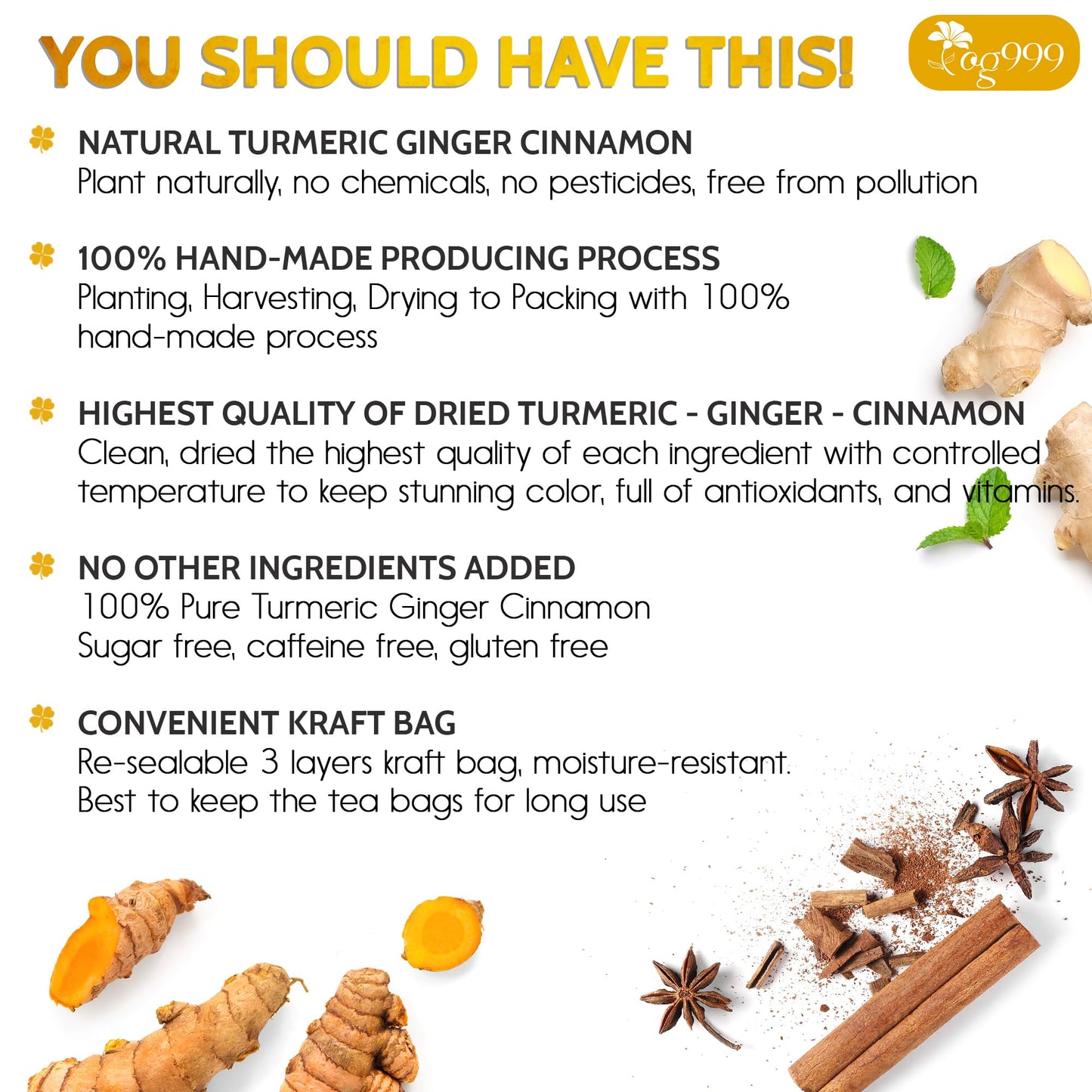 TOG999 Turmeric Ginger Cinnamon Tea - 120 Eco-Conscious Bags, No Sugar, Caffeine, Gluten, Vegan, Supports Digestion and Well-being