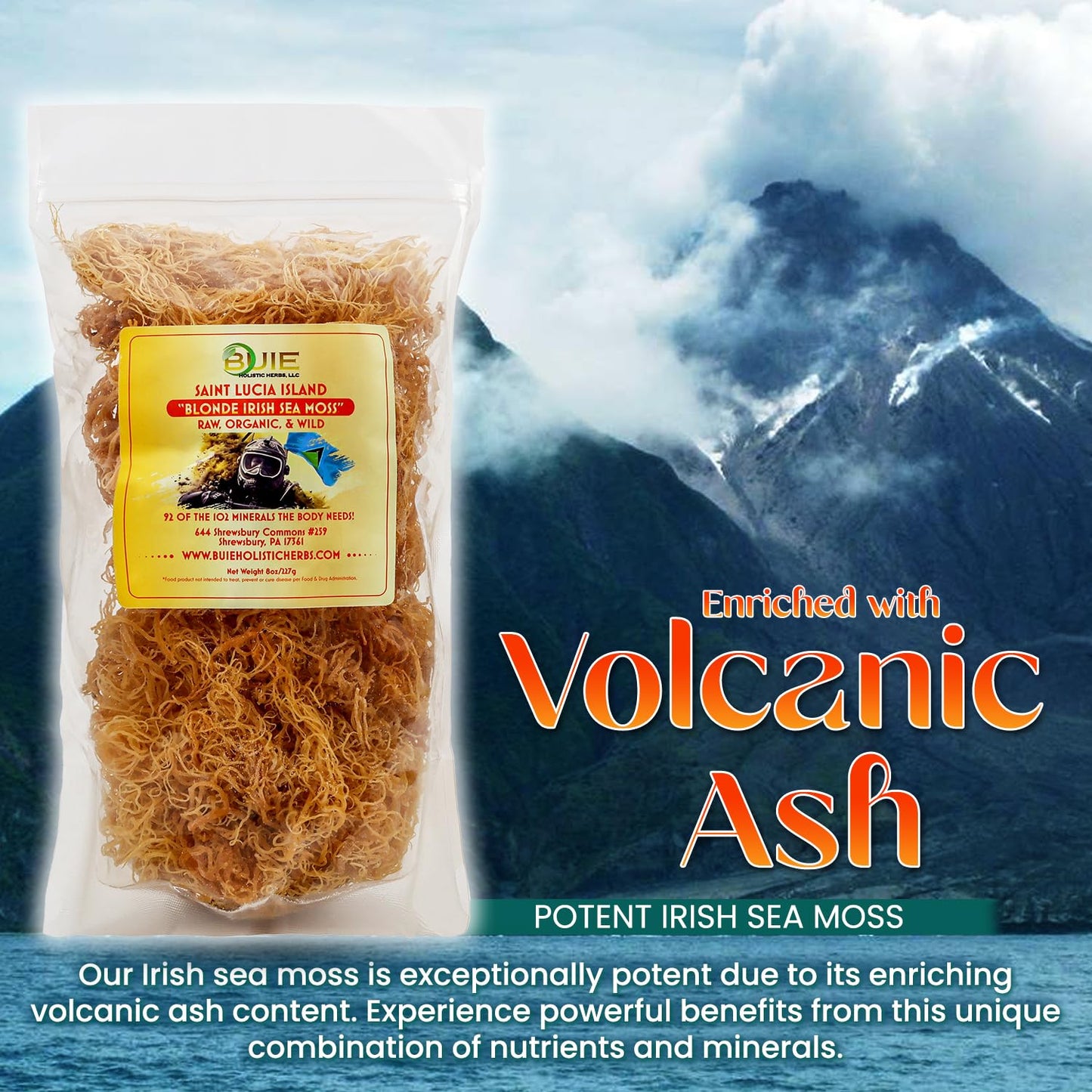 Buie Holistic Herbs Golden Irish Sea Moss, Pure Wildcrafted, Nutrient-Rich, Dr. Sebi Inspired - Makes 30+ Oz Gel | Pure & Natura