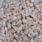 Gourmet Soft And Chewy Salt Water Taffy Candies - Individually Wrapped - Bulk Bags (Coffee Mocha, 2 Pound (Pack Of 1))