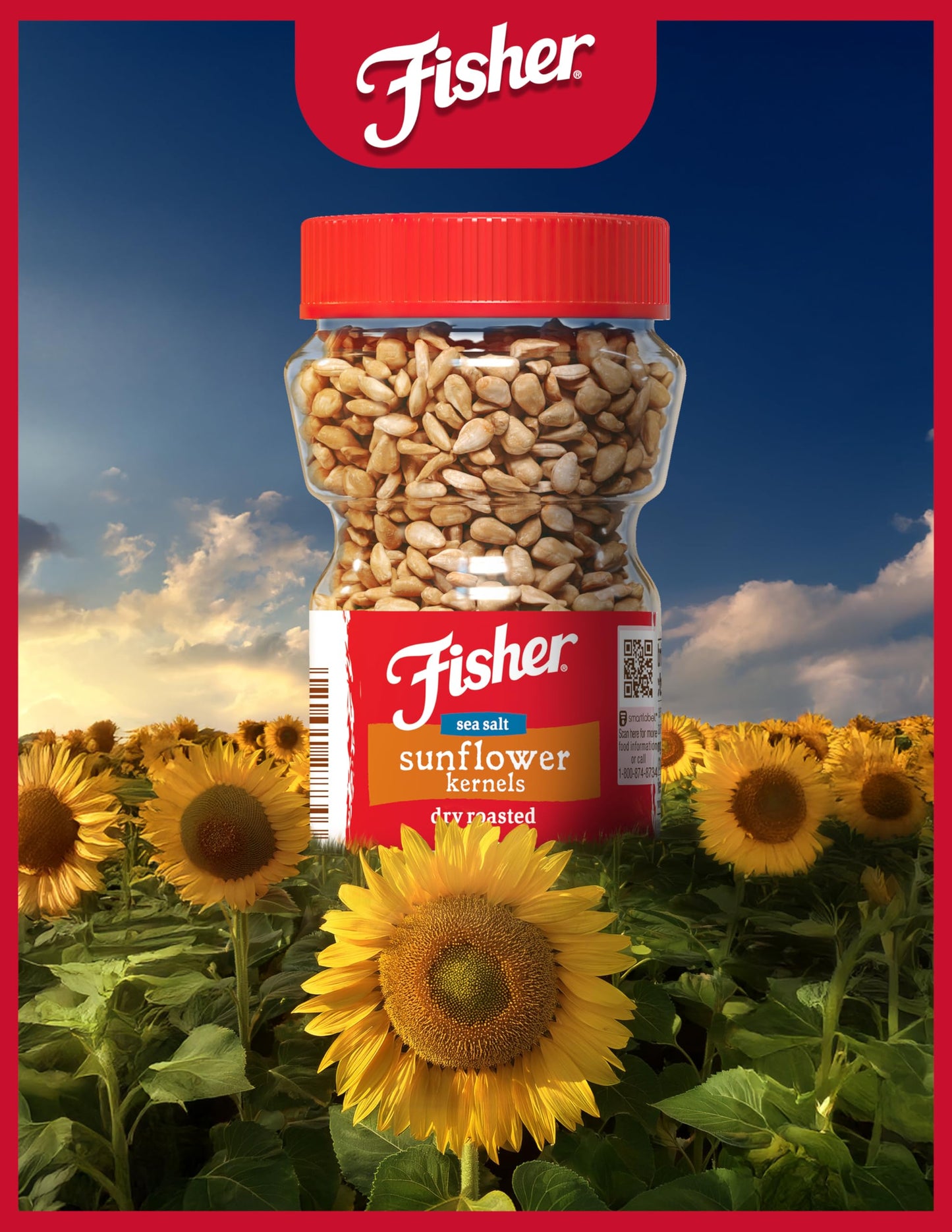 Fisher Dry Roasted Sunflower Seeds Kernels with Sea Salt  7.25 oz  Sunflower Seeds to Eat  Gluten-Free  No Sugar Added  Crunchy Snacks for mature-themeds  Perfect for Salads  Yogurt  & On-the-Go Snacking