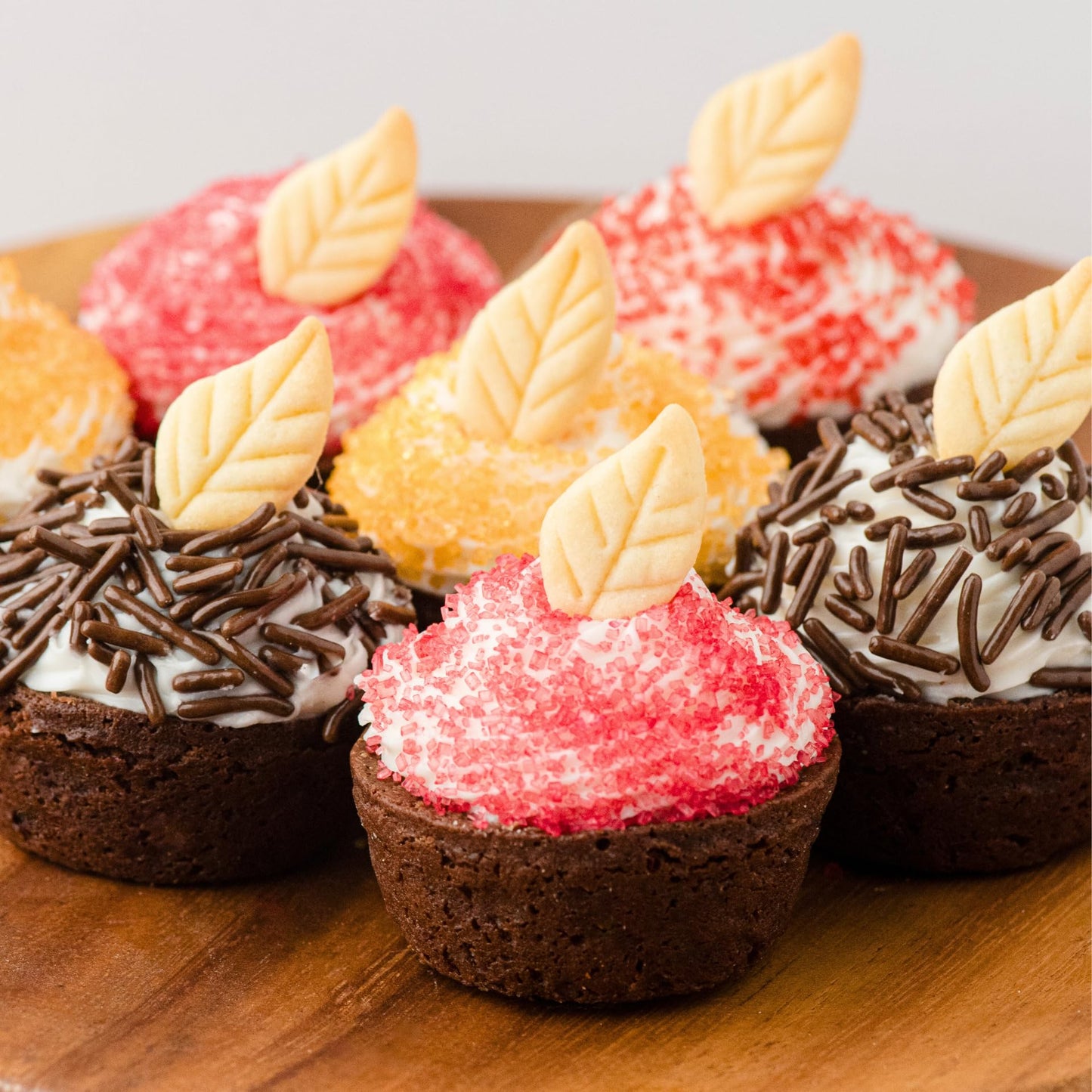 Sweets Indeed Natural Fall Sprinkles 6-Cell Jar - 2.75 oz | Dye-Free Chocolate Jimmies & Red & Orange Sanding Sugars | Autumn & Thanksgiving Cupcake & Cookie Decorations