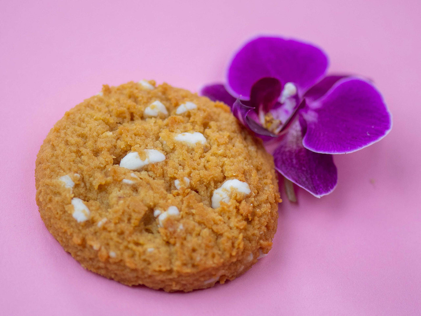 Bake City Keto Cookies | 1oz Hawaiian Cookies, Gluten Free, 0g Sugar, 1.5g Net Carbs, 5g Protein, 12 Pack