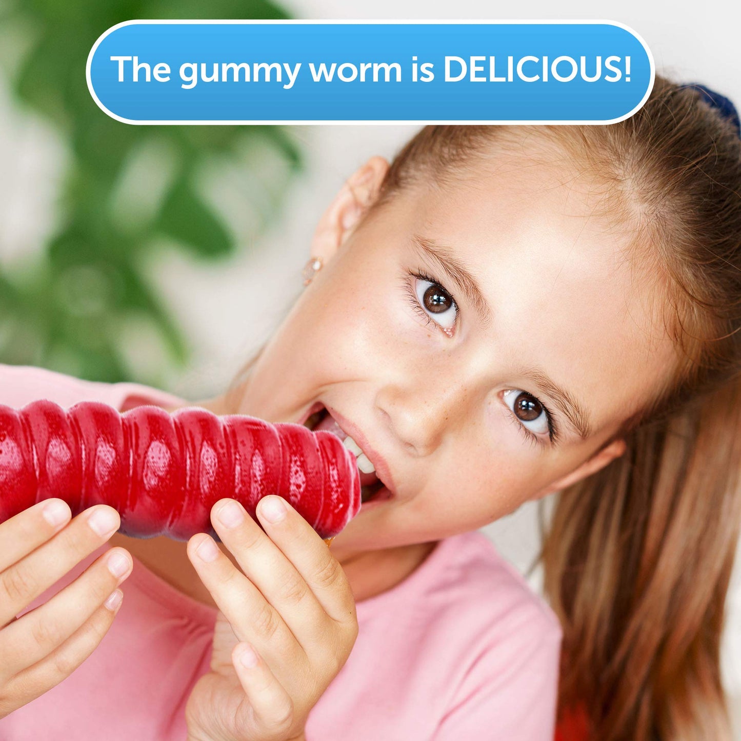The Original Worlds Largest Gummy Worm - 5 Combination Options!