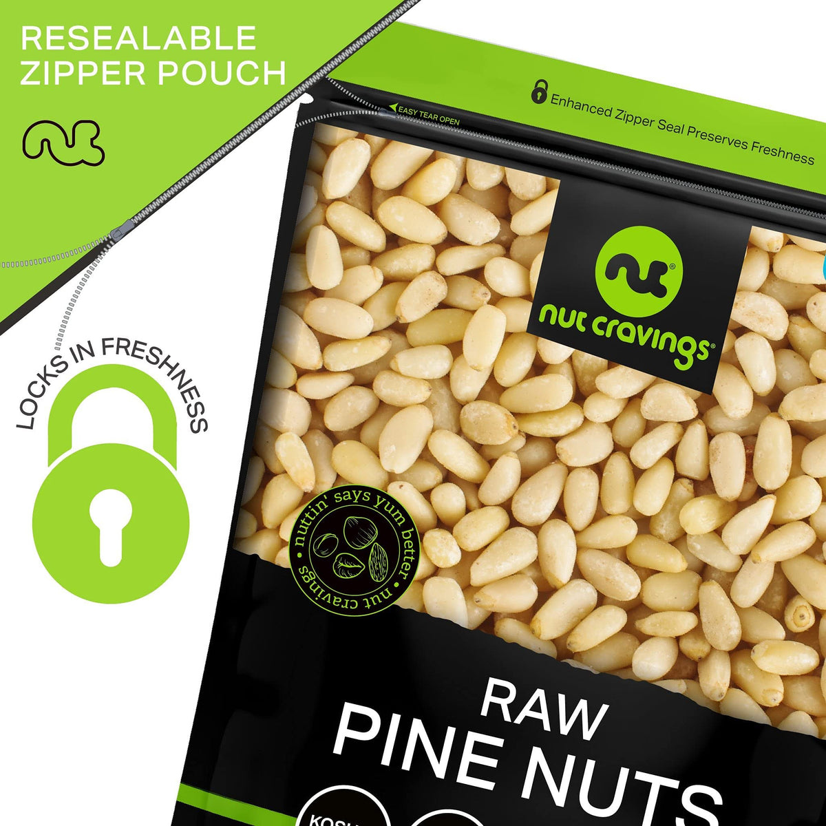 NUT CRAVINGS - Raw Pine Nuts Pignolias, Unsalted, Shelled, (32oz - 2 LB) Bulk Nuts Packed Fresh in Resealable Bag - Kosher Healt