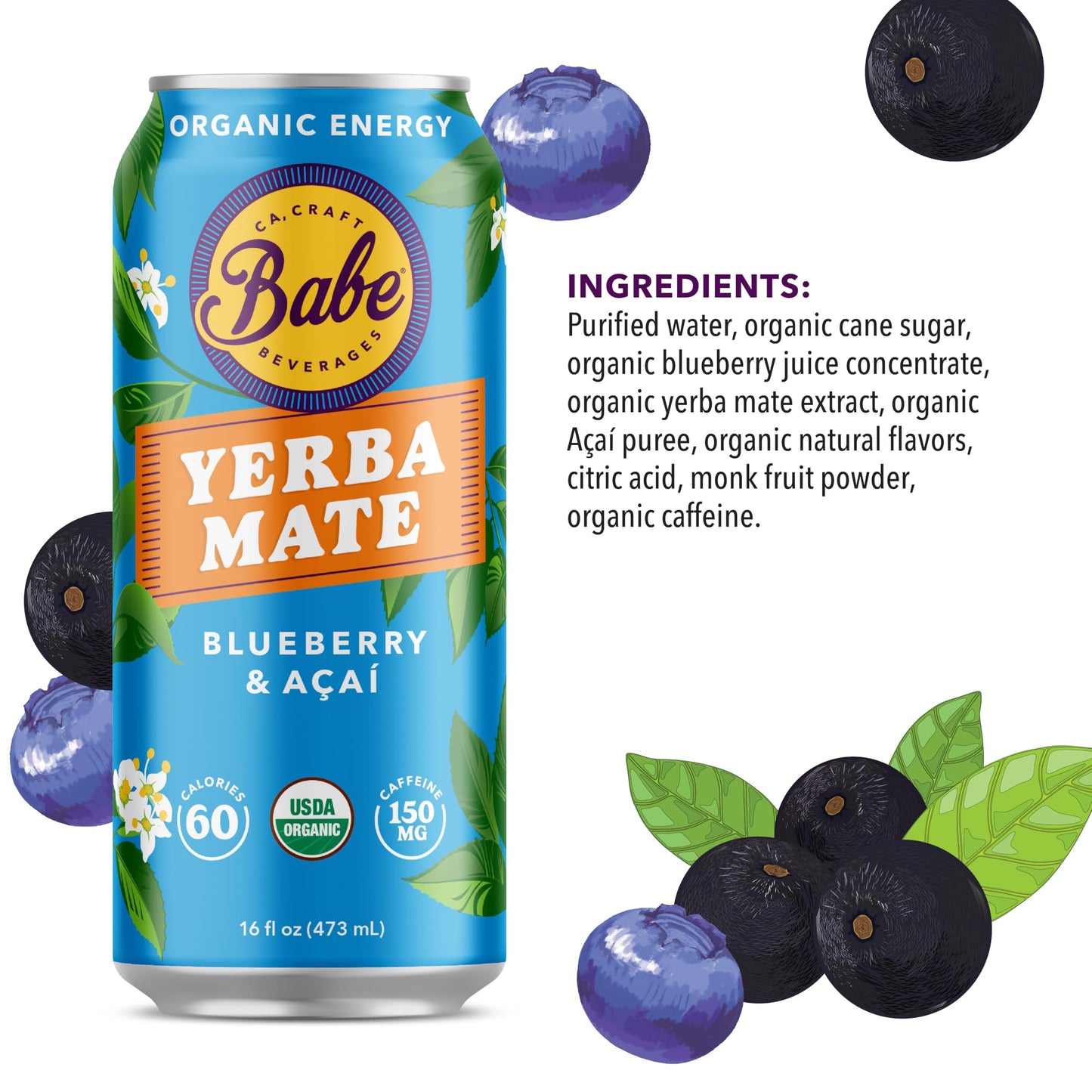 Babe Beverages Organic Yerba Mate Energy Drinks - 150mg Caffeine, Sample Pack (6 x 16oz Cans)