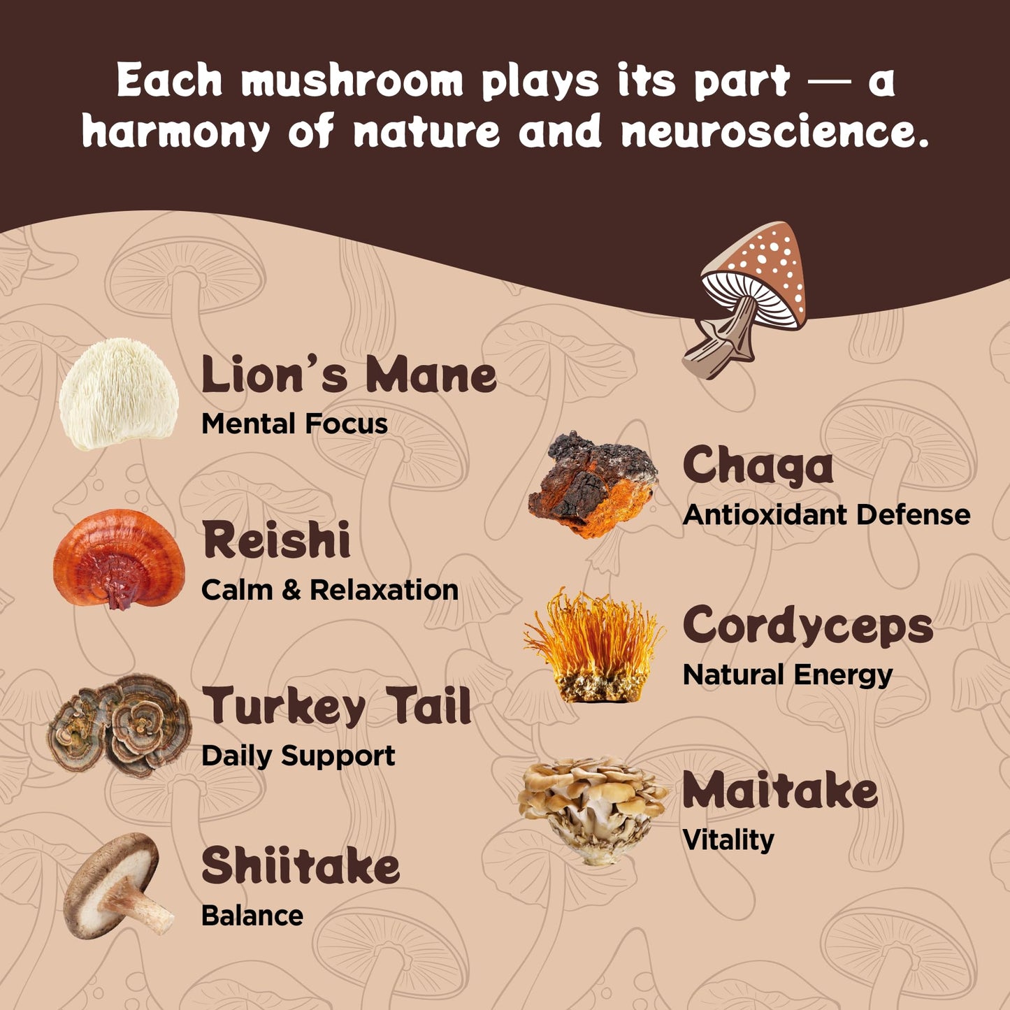 Melting Forest Mushroom Coffee  with 7 Functional Mushrooms  Cacao  Rhodiola  L-Theanine  Reishi & Lions Mane  Stress Relieving  Focus  Cognitive Function & Mental Clarity (30 Servings)